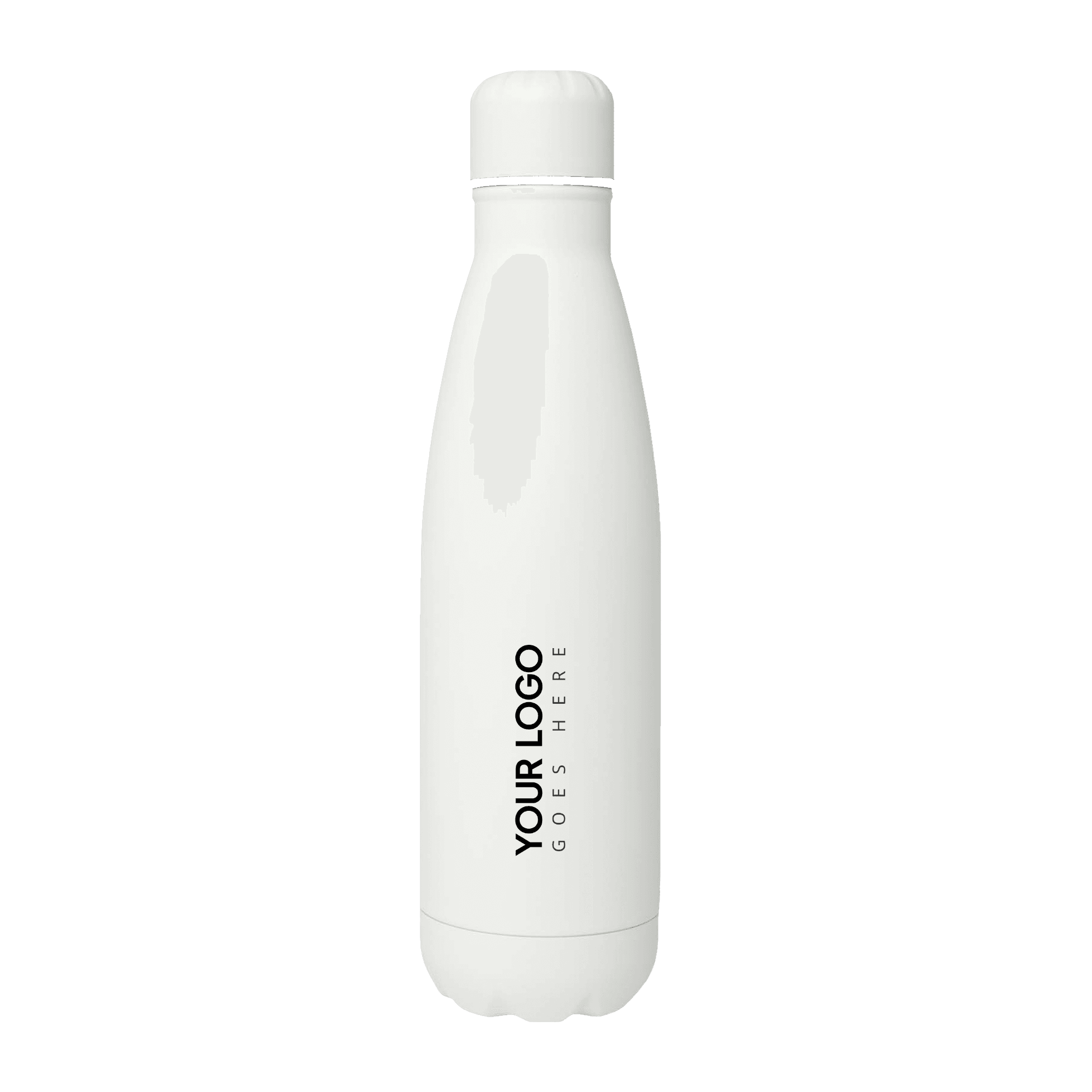 Stainless Steel Bottle